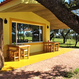 Wohnmobilstellplatz: Bar - Camping Puro Alentejo