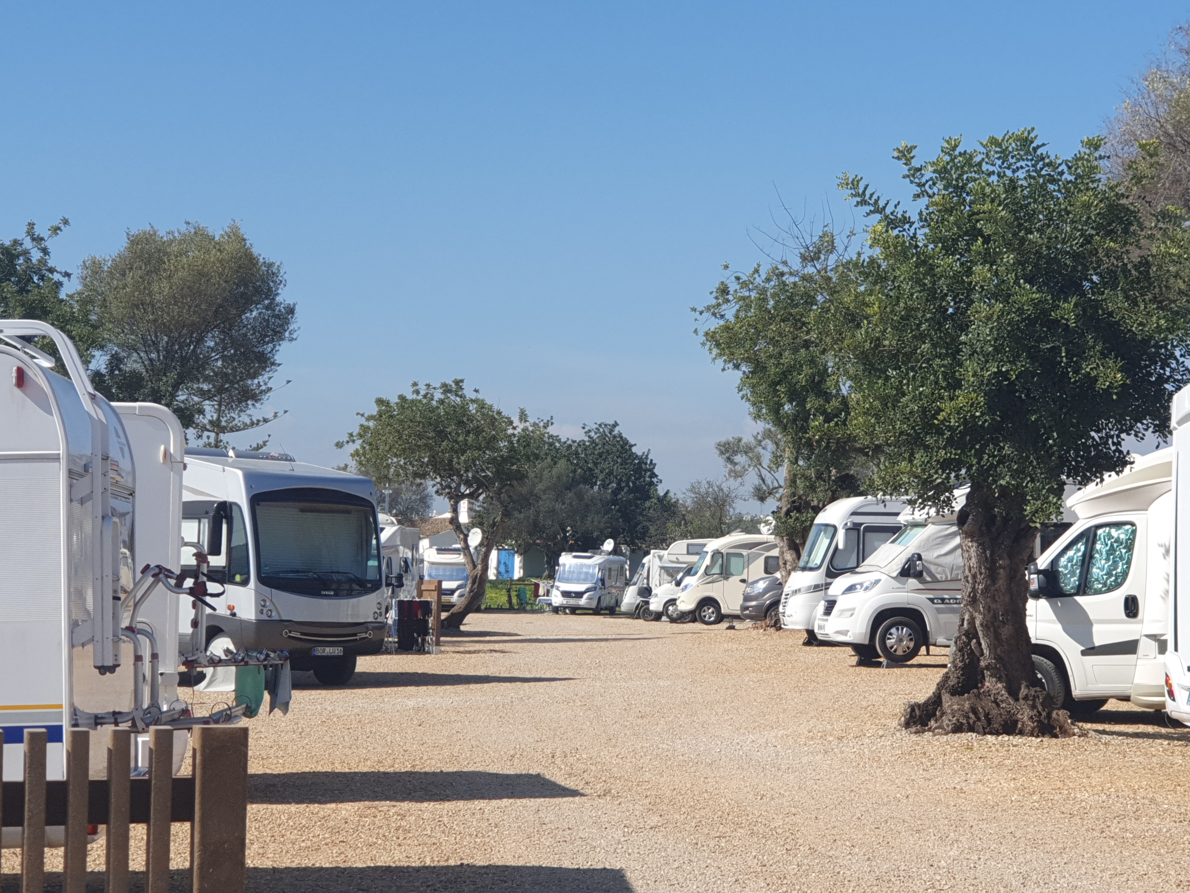 Reisemobilstellplatz - Hunde erlaubt: Hunde erlaubt - Algarve - Algarve Motorhome Park Tavira - Algarve Motorhome Park Tavira