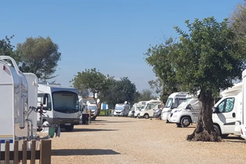 Wohnmobilstellplatz: Algarve Motorhome Park Tavira - Algarve Motorhome Park Tavira