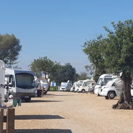 Wohnmobilstellplatz: Algarve Motorhome Park Tavira - Algarve Motorhome Park Tavira