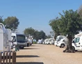 Wohnmobilstellplatz: Algarve Motorhome Park Tavira - Algarve Motorhome Park Tavira