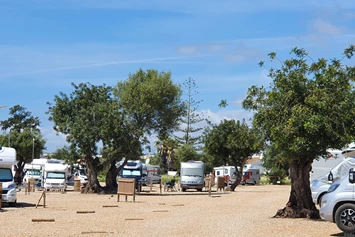 Wohnmobilstellplatz: Algarve Motorhome Park Tavira - Algarve Motorhome Park Tavira