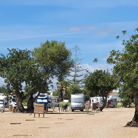 Wohnmobilstellplatz: Algarve Motorhome Park Tavira - Algarve Motorhome Park Tavira