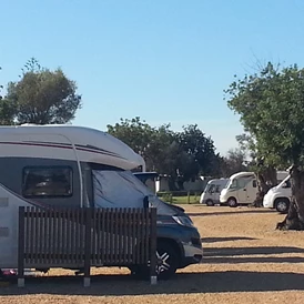 Wohnmobilstellplatz: Algarve Motorhome Park Tavira - Algarve Motorhome Park Tavira