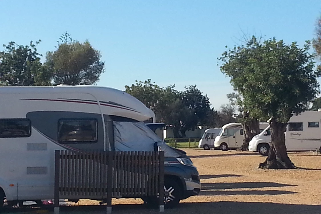 Wohnmobilstellplatz: Algarve Motorhome Park Tavira - Algarve Motorhome Park Tavira