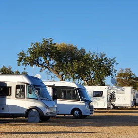 Wohnmobilstellplatz: Algarve Motorhome Park Tavira - Algarve Motorhome Park Tavira