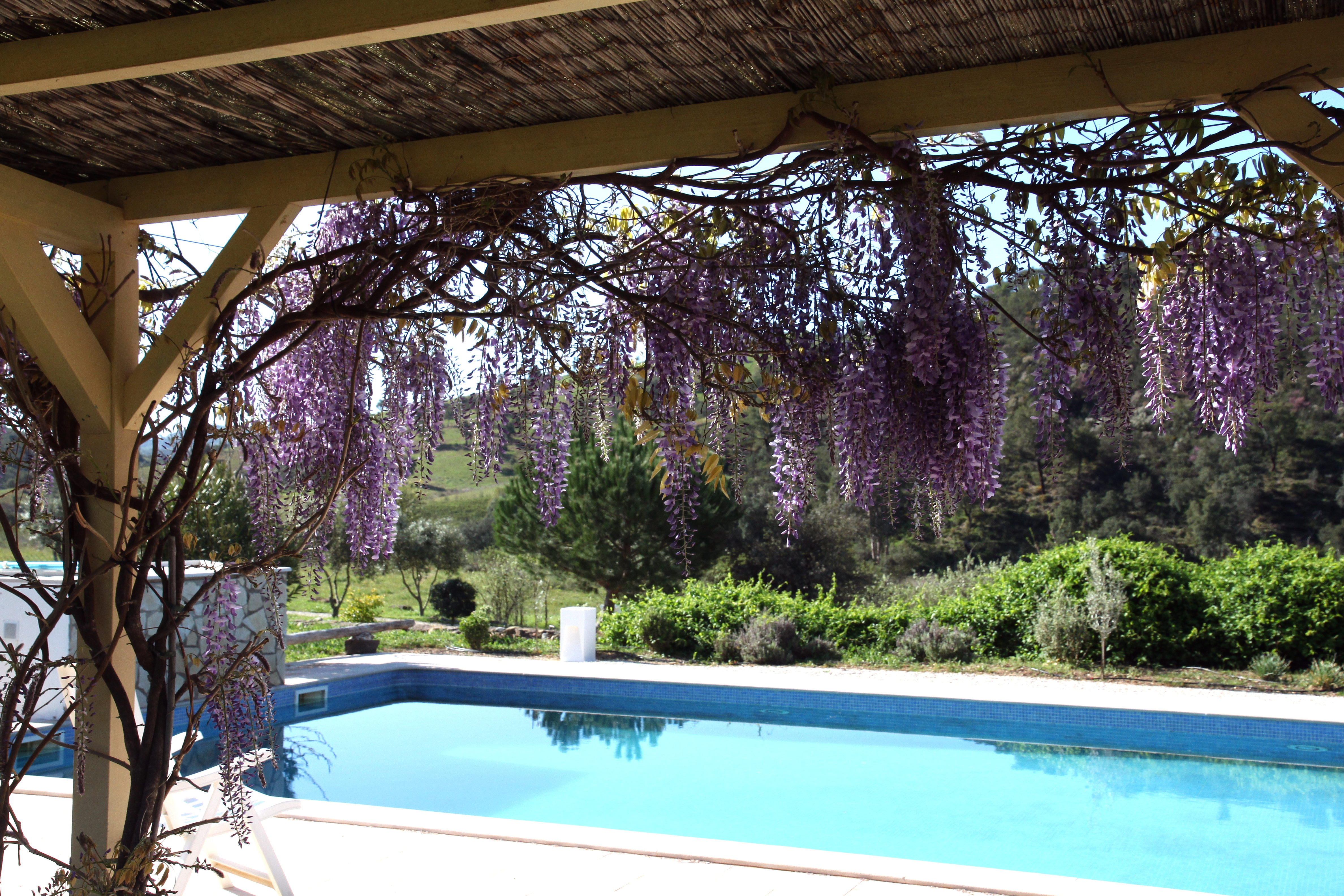 Place de parking pour camping-car - Algarve - Quinta de Odelouca