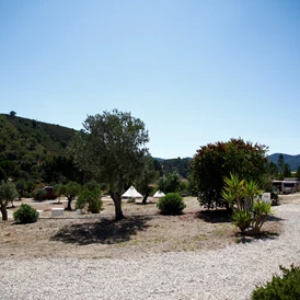 Wohnmobilstellplatz: Quinta de Odelouca