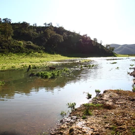 Wohnmobilstellplatz: Quinta de Odelouca