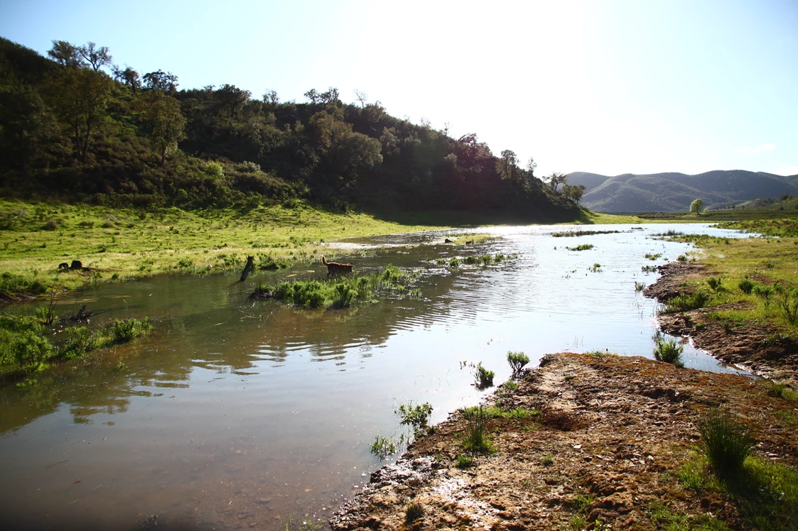 Wohnmobilstellplatz: Quinta de Odelouca