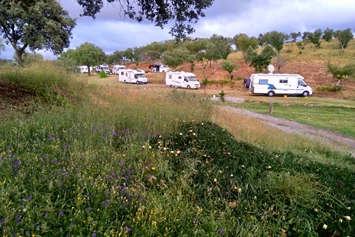 Wohnmobilstellplatz: Camping Serro da Bica