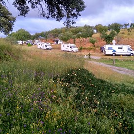 Wohnmobilstellplatz: Camping Serro da Bica