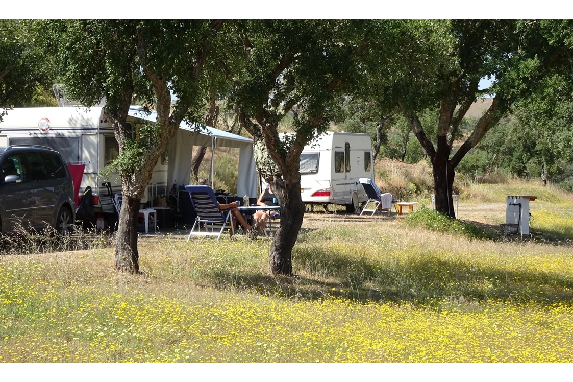 Wohnmobilstellplatz: Camping Serro da Bica