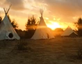 Wohnmobilstellplatz: Global Tribe Eco-Campsite