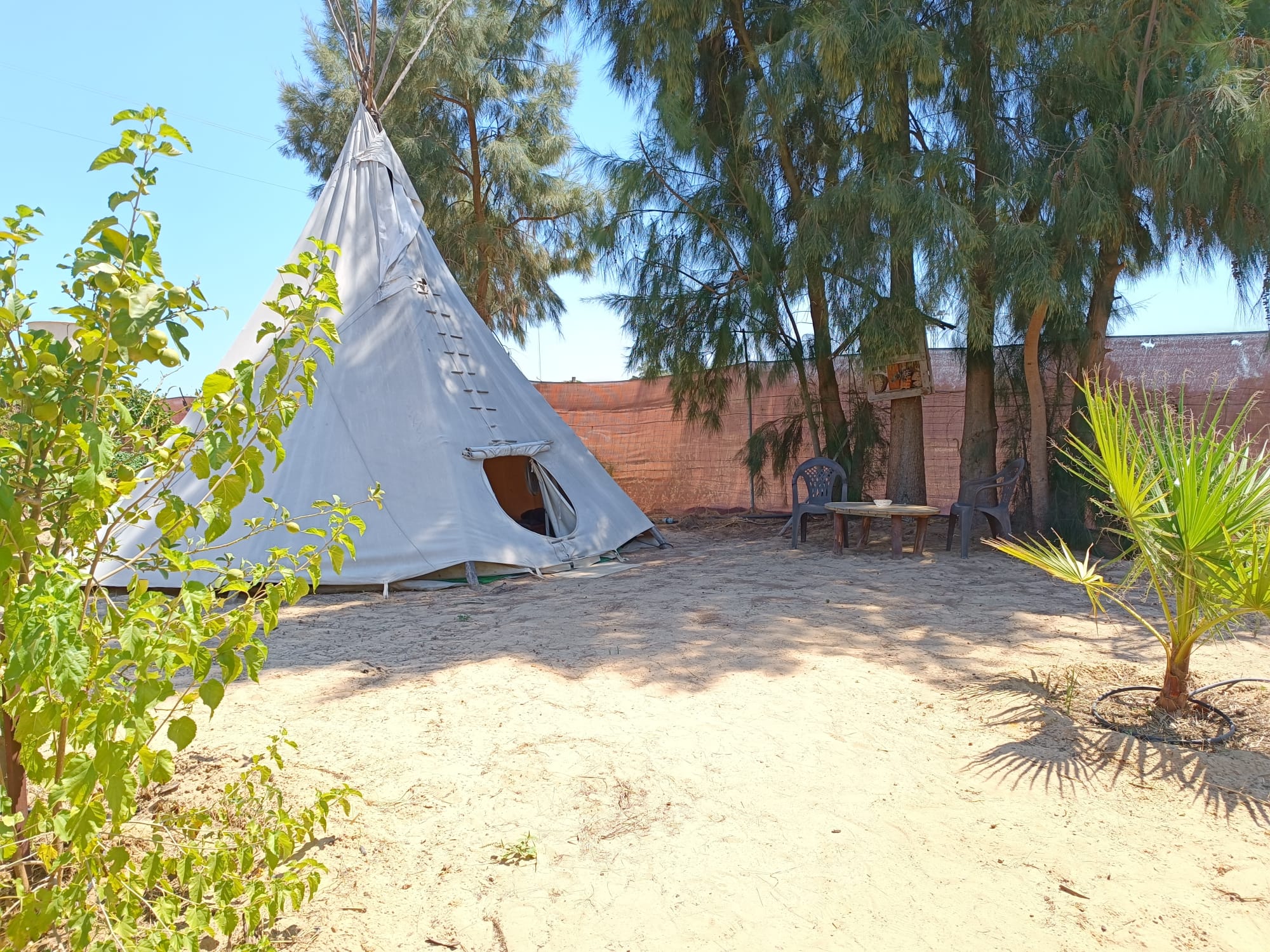 Reisemobilstellplatz: Global Tribe Eco-Campsite