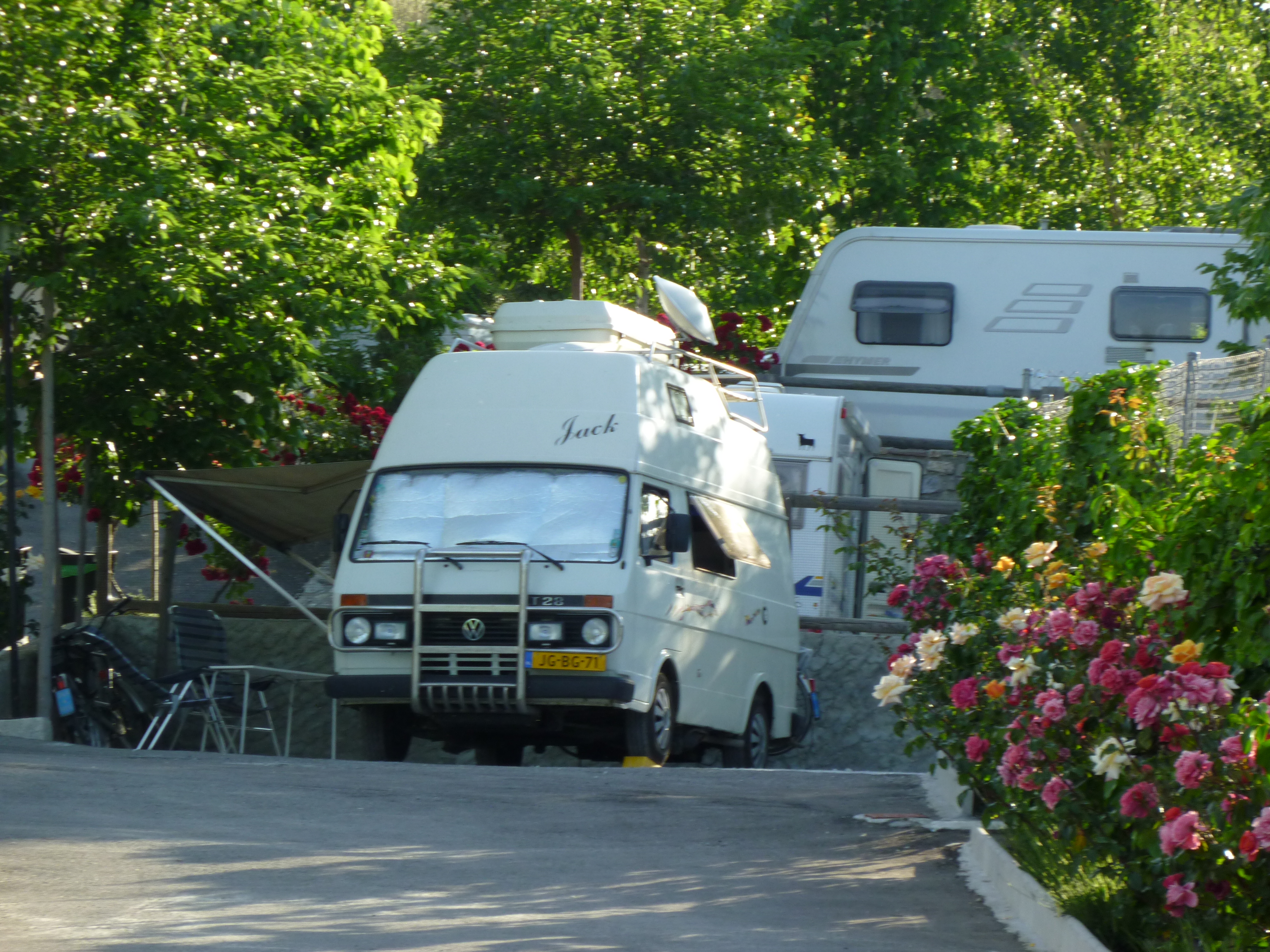 kampeerplaats voor campers - Costa Tropical - vegetacion - Campingplatz Alto de Viñuelas
