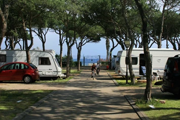 Wohnmobilstellplatz: Camping Blanes