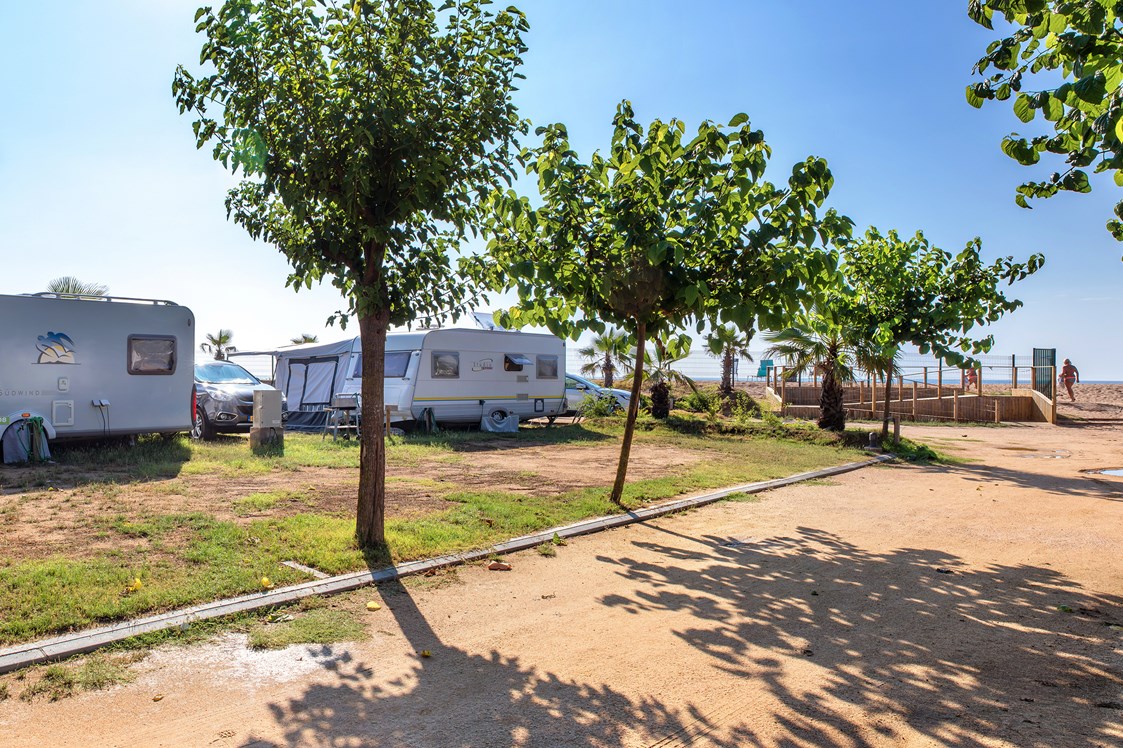 Wohnmobilstellplatz: Camping El Pinar