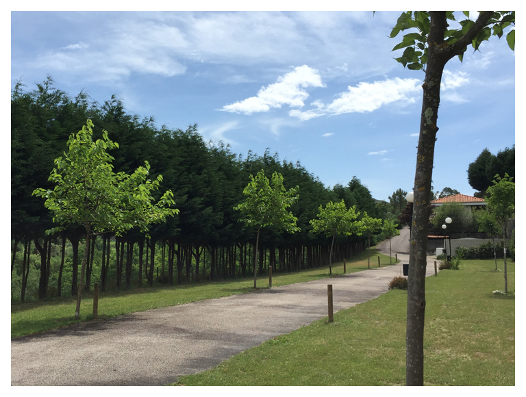 área camper - Rías Baixas - Premium-Stellplatz 70m2
 - Camping Maceira