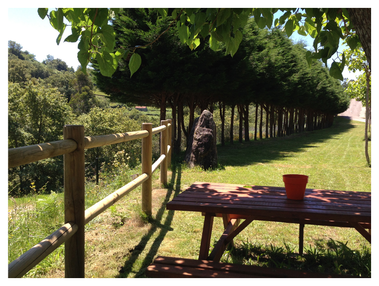 área camper - Rías Baixas - Picknick - Camping Maceira