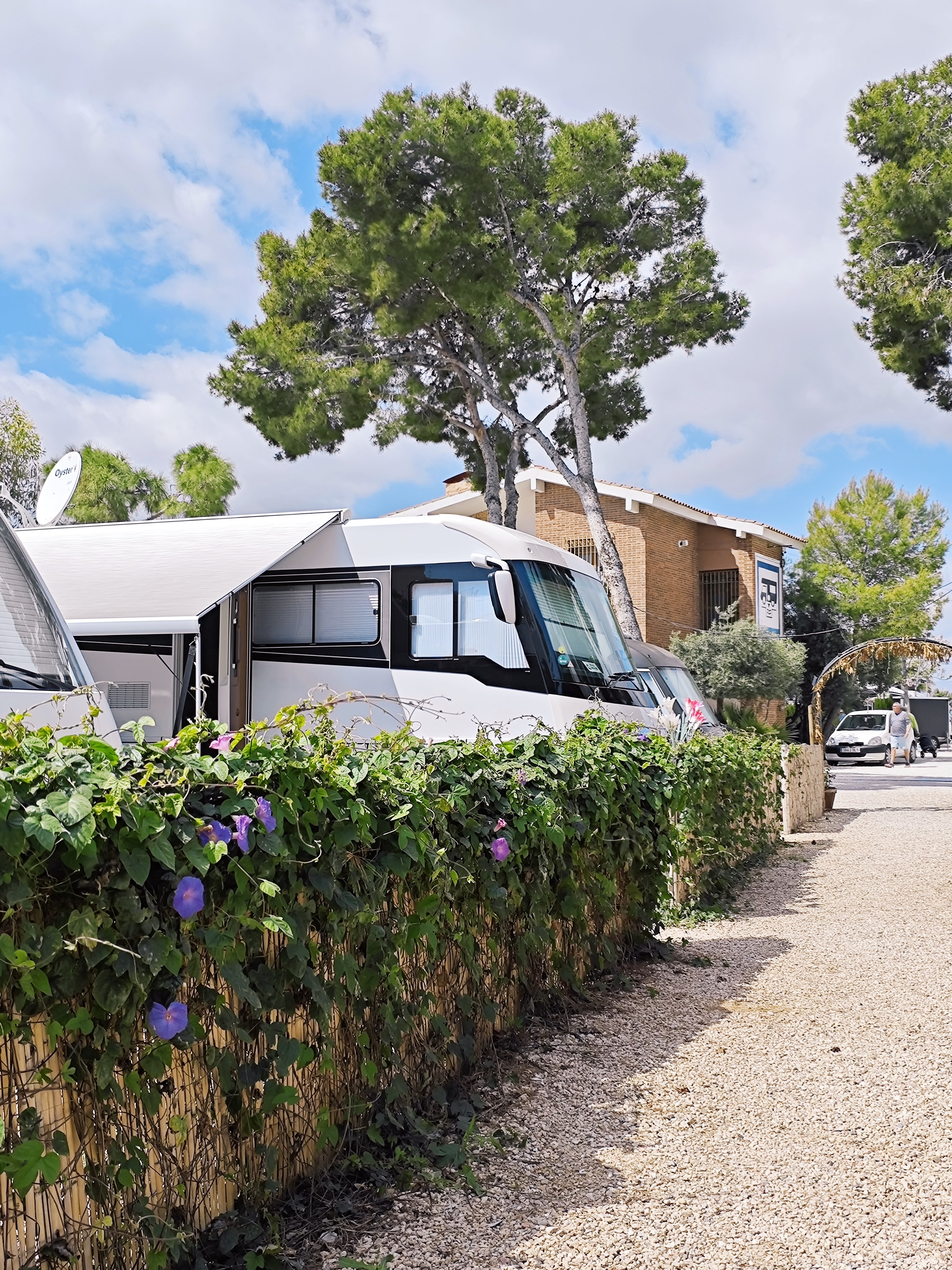 Wohnmobilstellplatz: CAMPER AREA 7 Stellplatz Alicante - CAMPER AREA 7