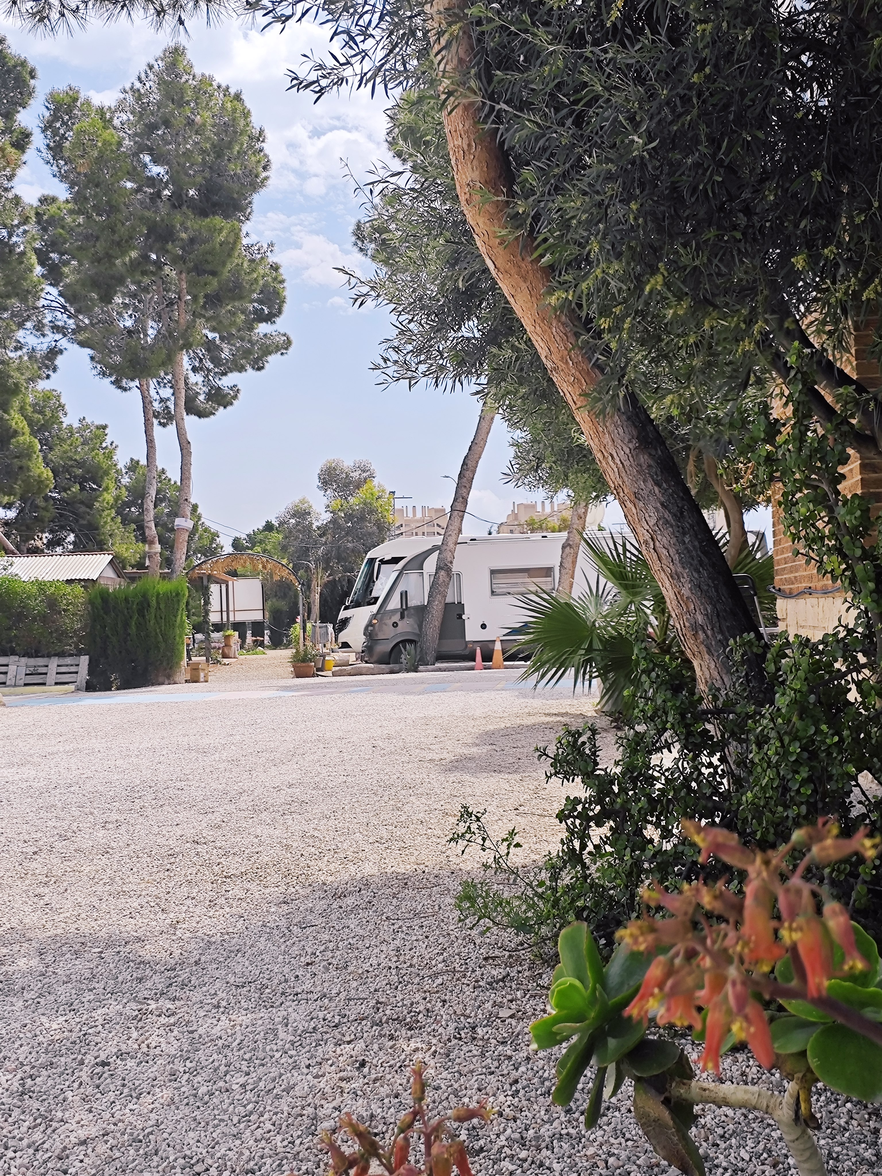 Wohnmobilstellplatz: CAMPER AREA 7 Stellplatz Alicante - CAMPER AREA 7