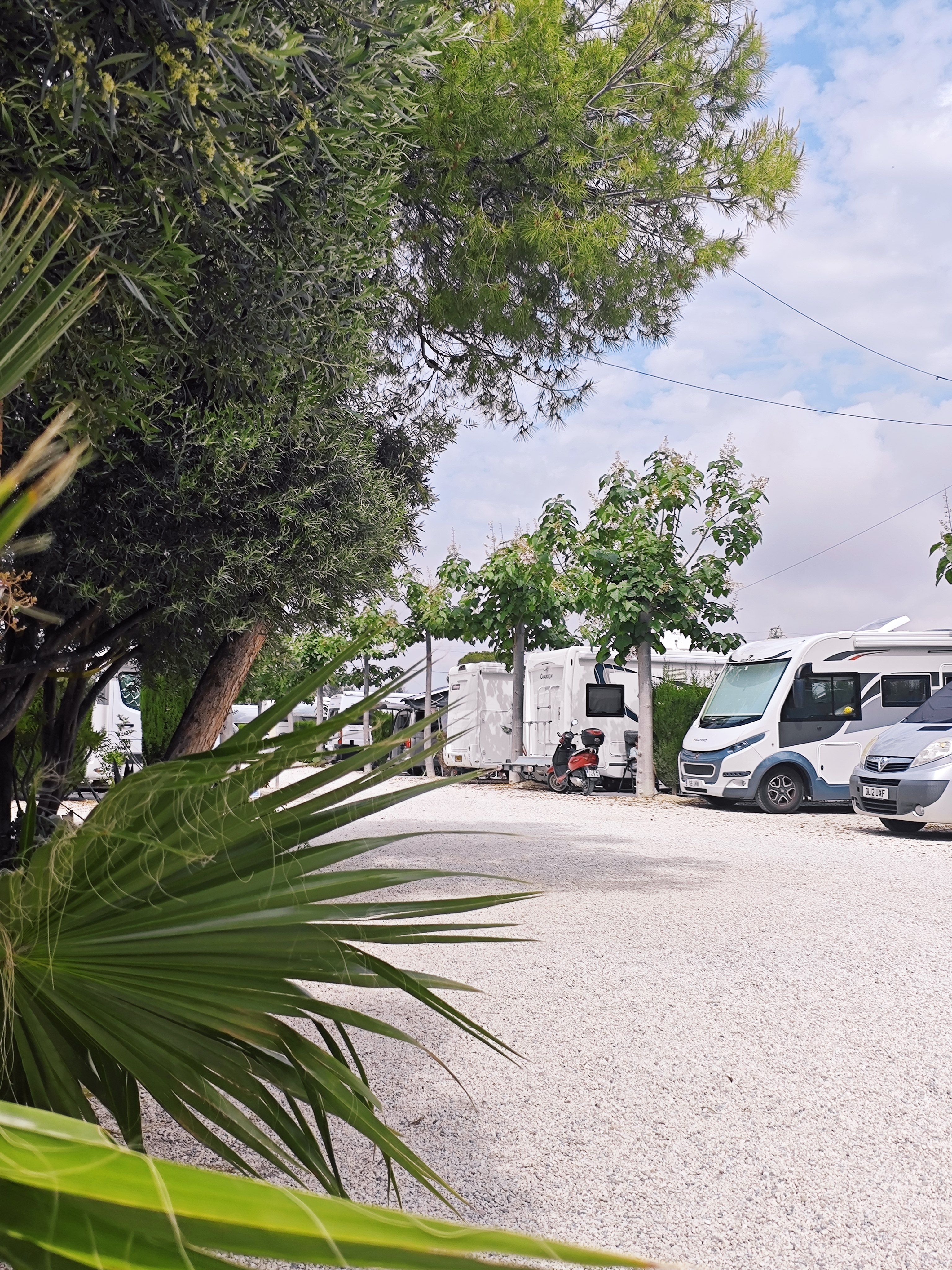 Wohnmobilstellplatz: CAMPER AREA 7 Stellplatz Alicante - CAMPER AREA 7