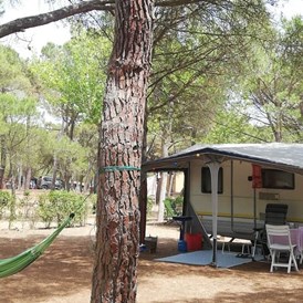 Wohnmobilstellplatz: Camping & Bungalow Platja Brava