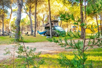 Wohnmobilstellplatz: Camping Riberduero