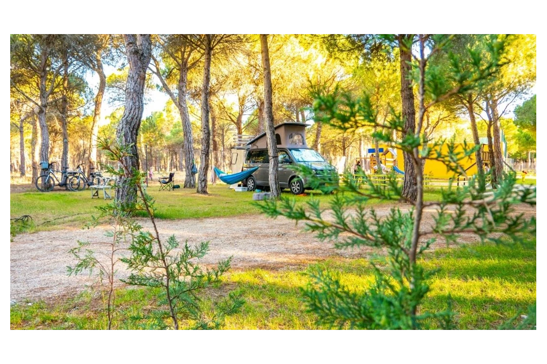 Wohnmobilstellplatz: Camping Riberduero