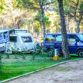 Wohnmobilstellplatz: Camping Riberduero