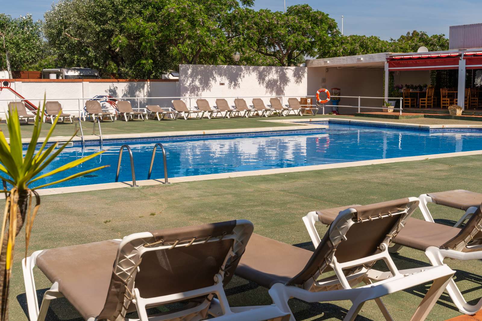 Reisemobilstellplatz: Piscina con tumbonas - Camping Joncar Mar - Vrije tijd