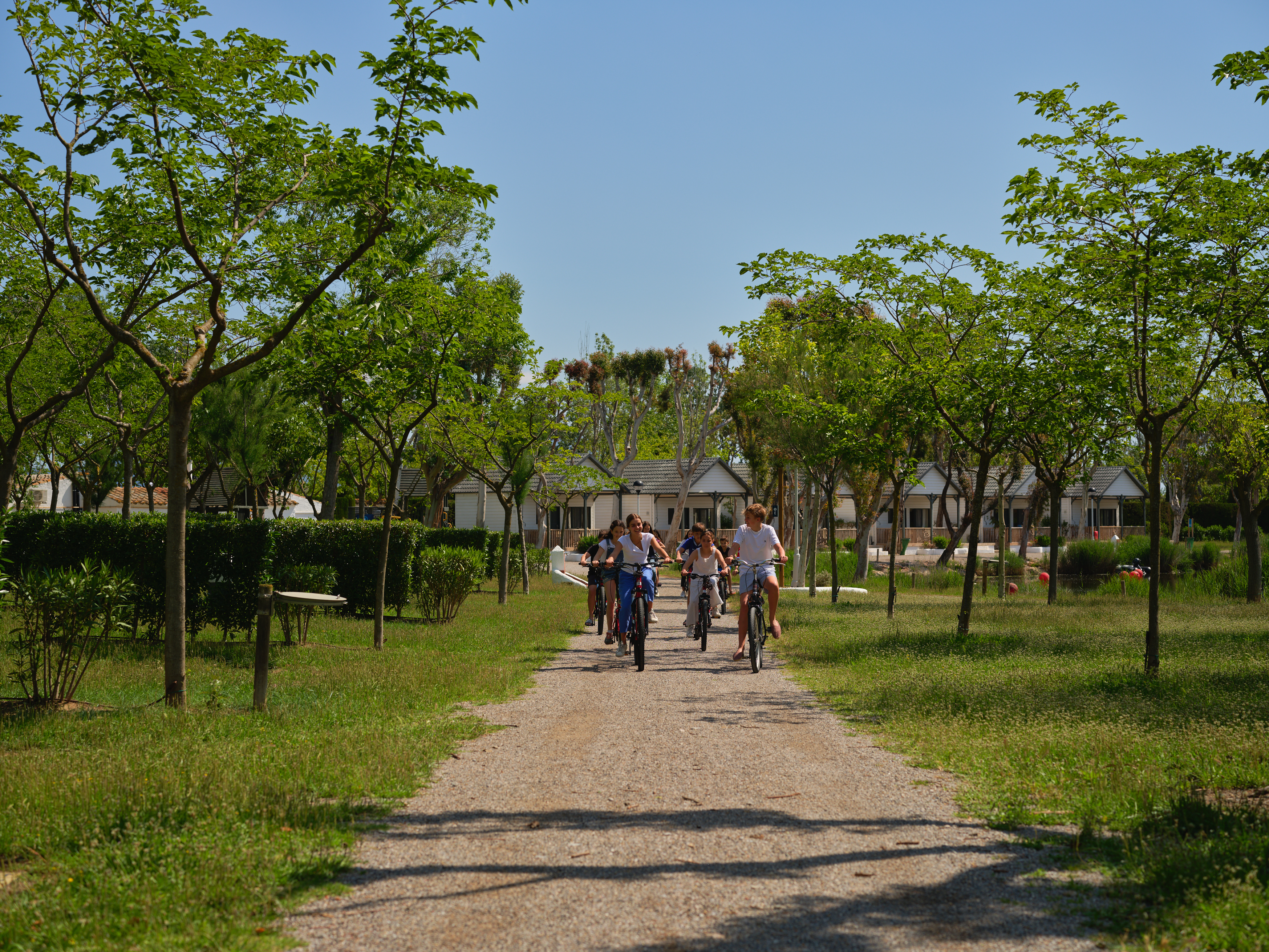 Wohnmobilstellplatz: Calles y parcelas camping Nautic Almata - Camping Nautic Almata