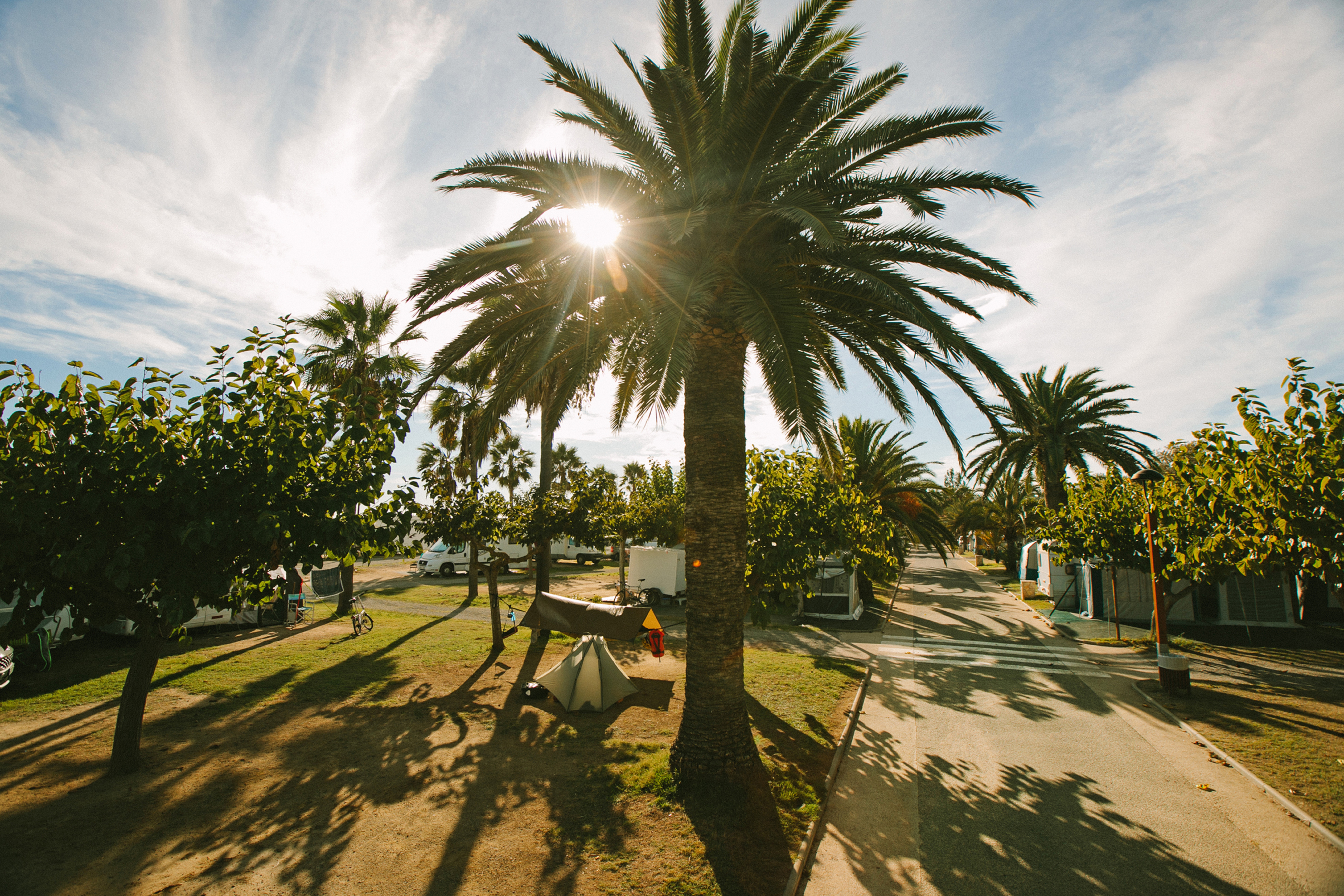 Wohnmobilstellplatz: Camping Las Palmeras