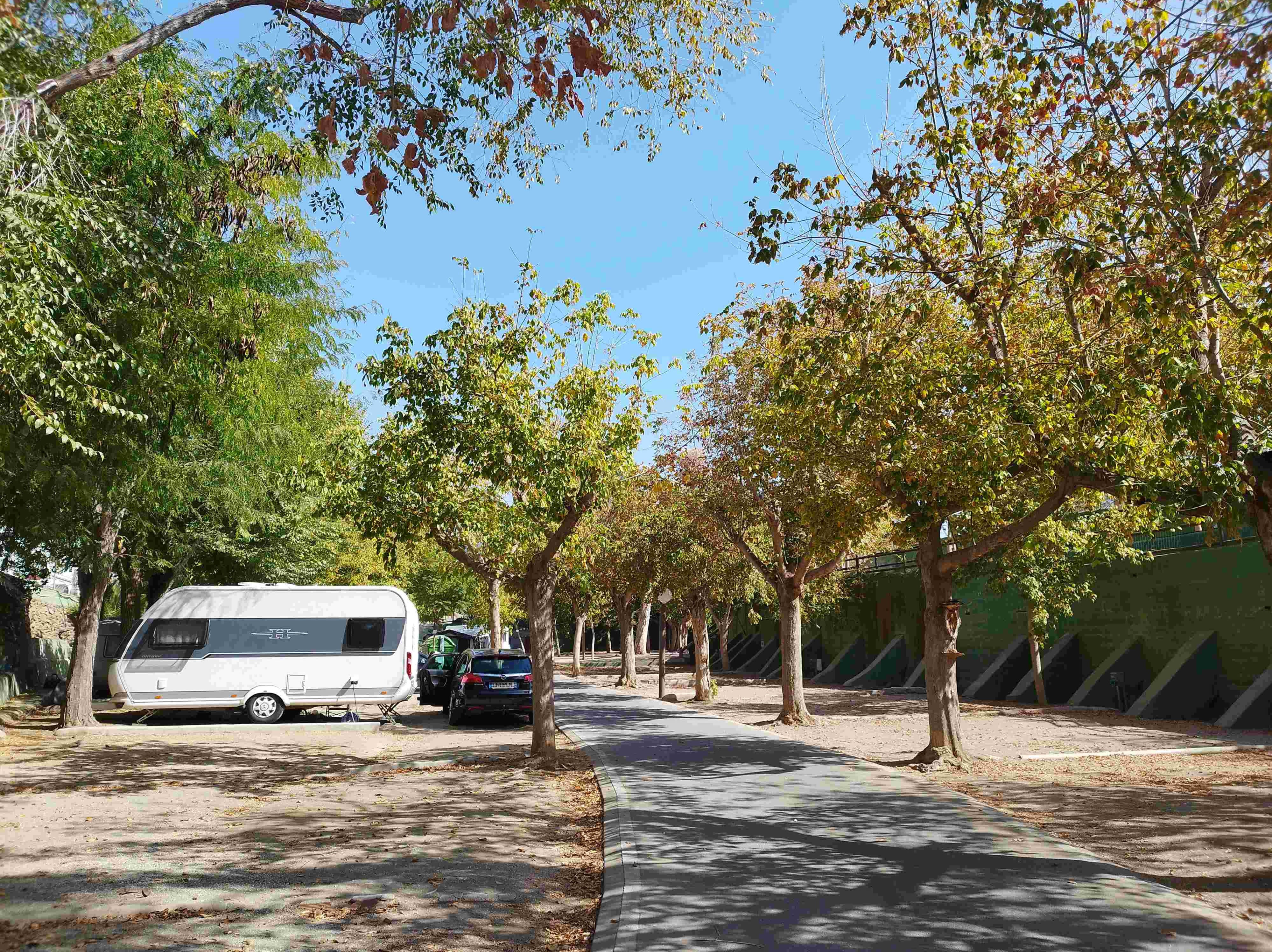 área camper - España - Campingplatz El Pino