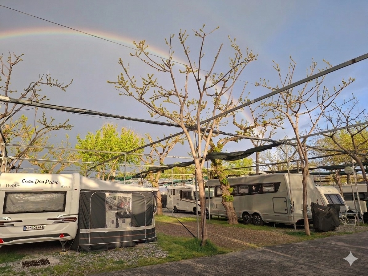 Wohnmobilstellplatz: Camping Playa Almayate Costa