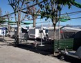 Wohnmobilstellplatz: Camping Playa Almayate Costa