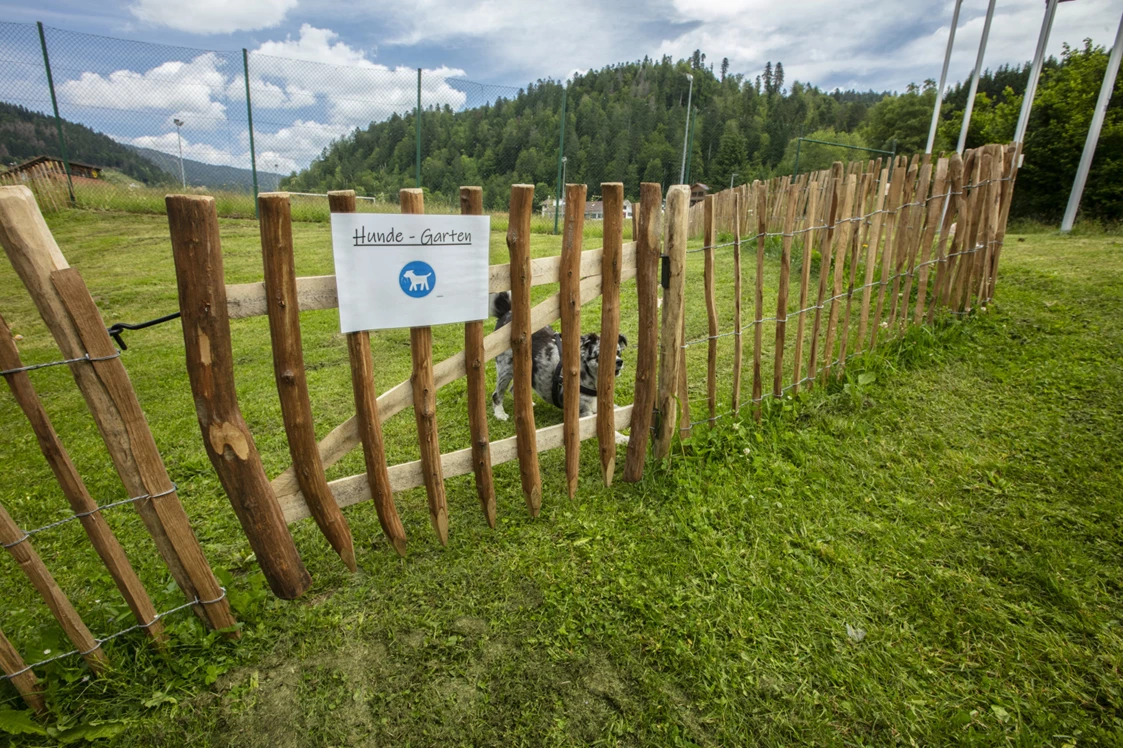 Wohnmobilstellplatz: Hundegarten - Wohnmobilstellplatz an der Wehra / Todtmoos