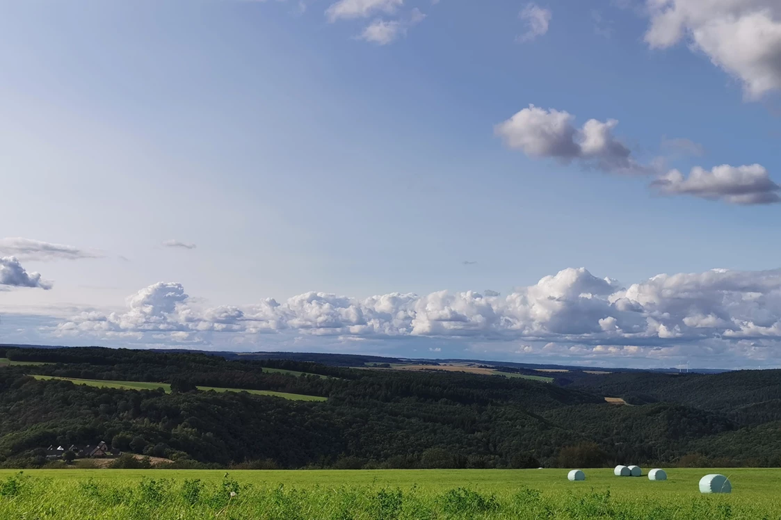 Wohnmobilstellplatz: Wohnmobilstellplatz Schinderhannes