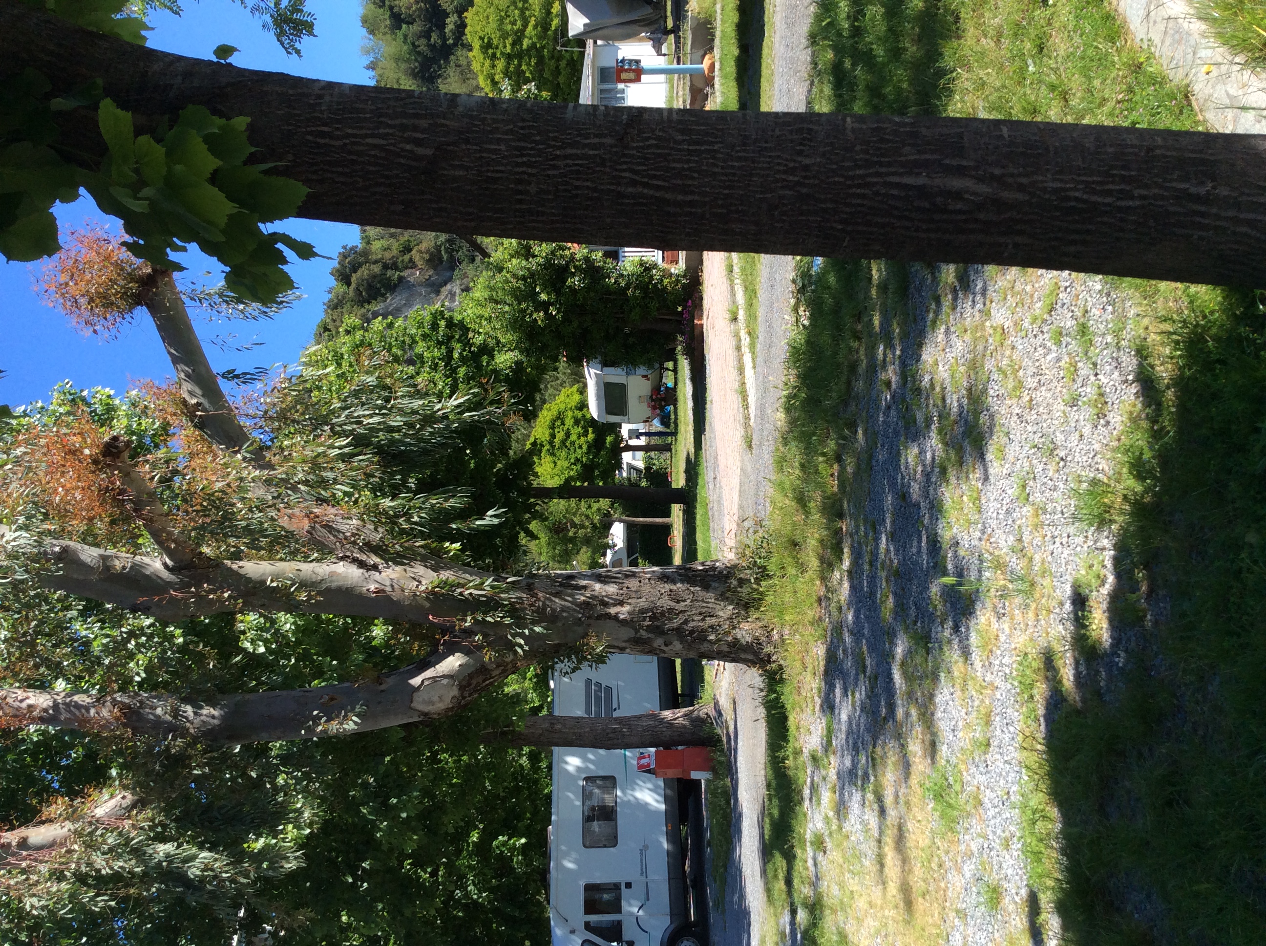 Wohnmobilstellplatz: Caravan Park La Vesima