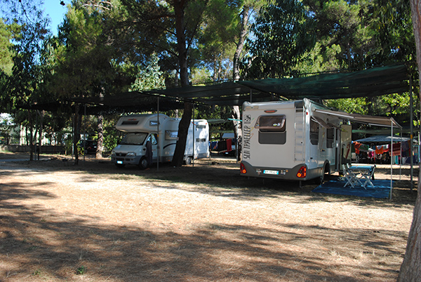 Wohnmobilstellplatz: Piazzole Camper Vieste Marina - Camping Village Vieste Marina