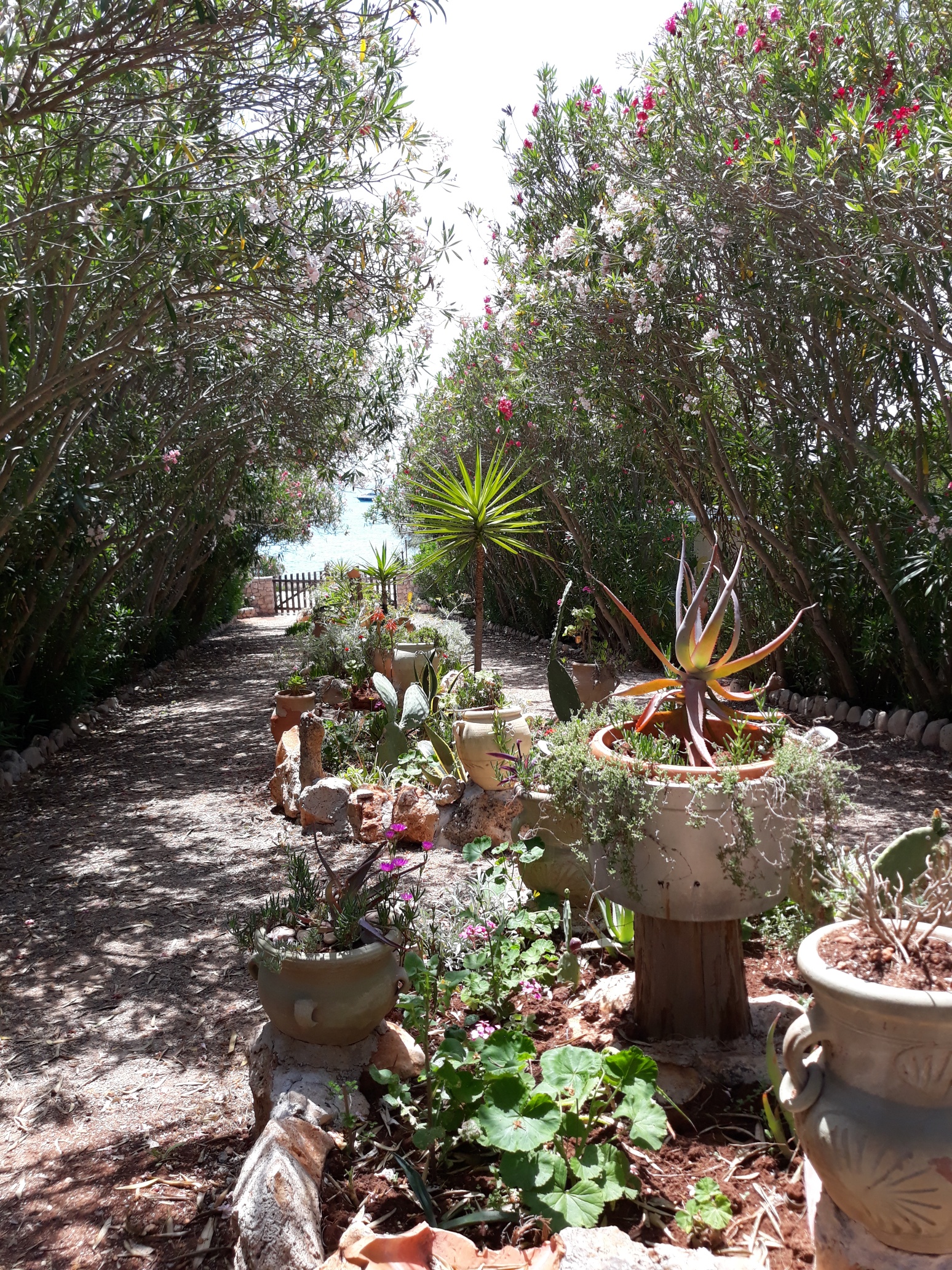 Reisemobilstellplatz - Lecce - Camping Villa Paradiso