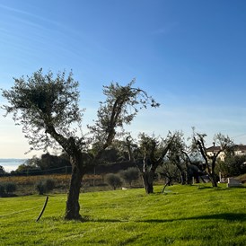 Wohnmobilstellplatz: Stellplatz Superior mit Panorama auf das ländliche Umland und Seeblick
 - Agricamping Est Garda