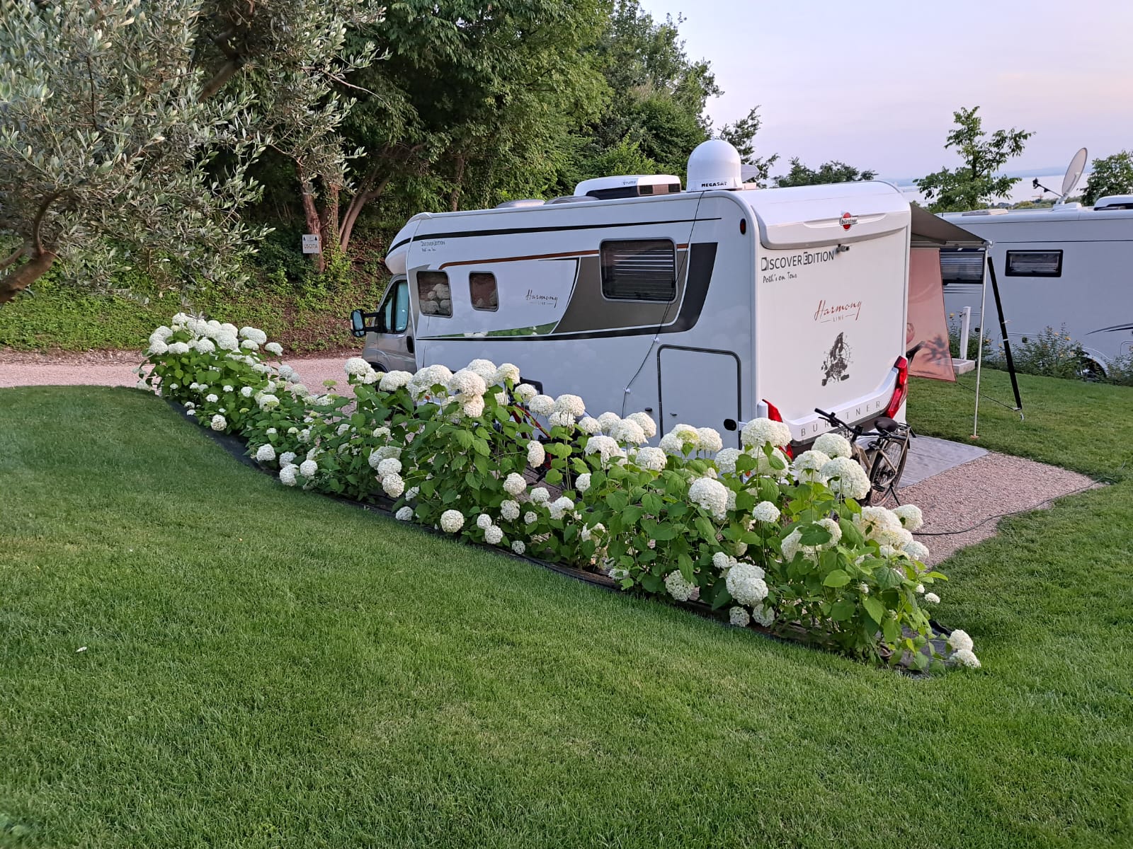 Wohnmobilstellplatz: Umgeben von Grün, mit Blick auf den großen Agricamping-Park.
Jeder Stellplatz besteht zu 50% aus Schotter und zu 50% aus Grün.
Empfohlen für Camper.
Ausgestattet mit Wasser- und Stromanschluss, chemischer Drainage direkt auf dem Stellplatz, eigenem Bad für die gesamte Dauer des Aufenthalts.
Waschbecken und Waschmaschine befinden sich im Sanitärbereich. - Agricamping Est Garda