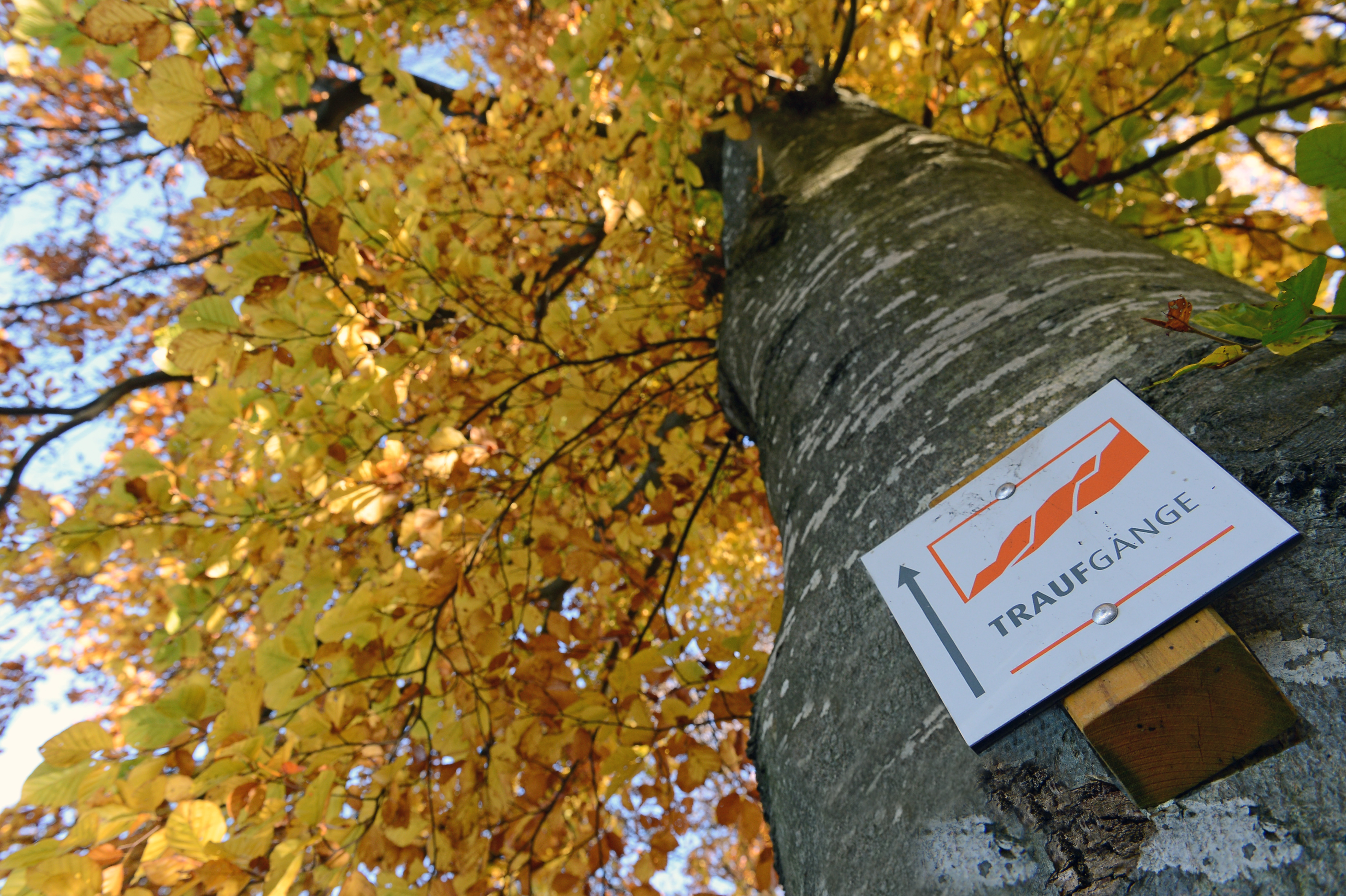 Wohnmobilstellplatz: Sonnencamping Albstadt