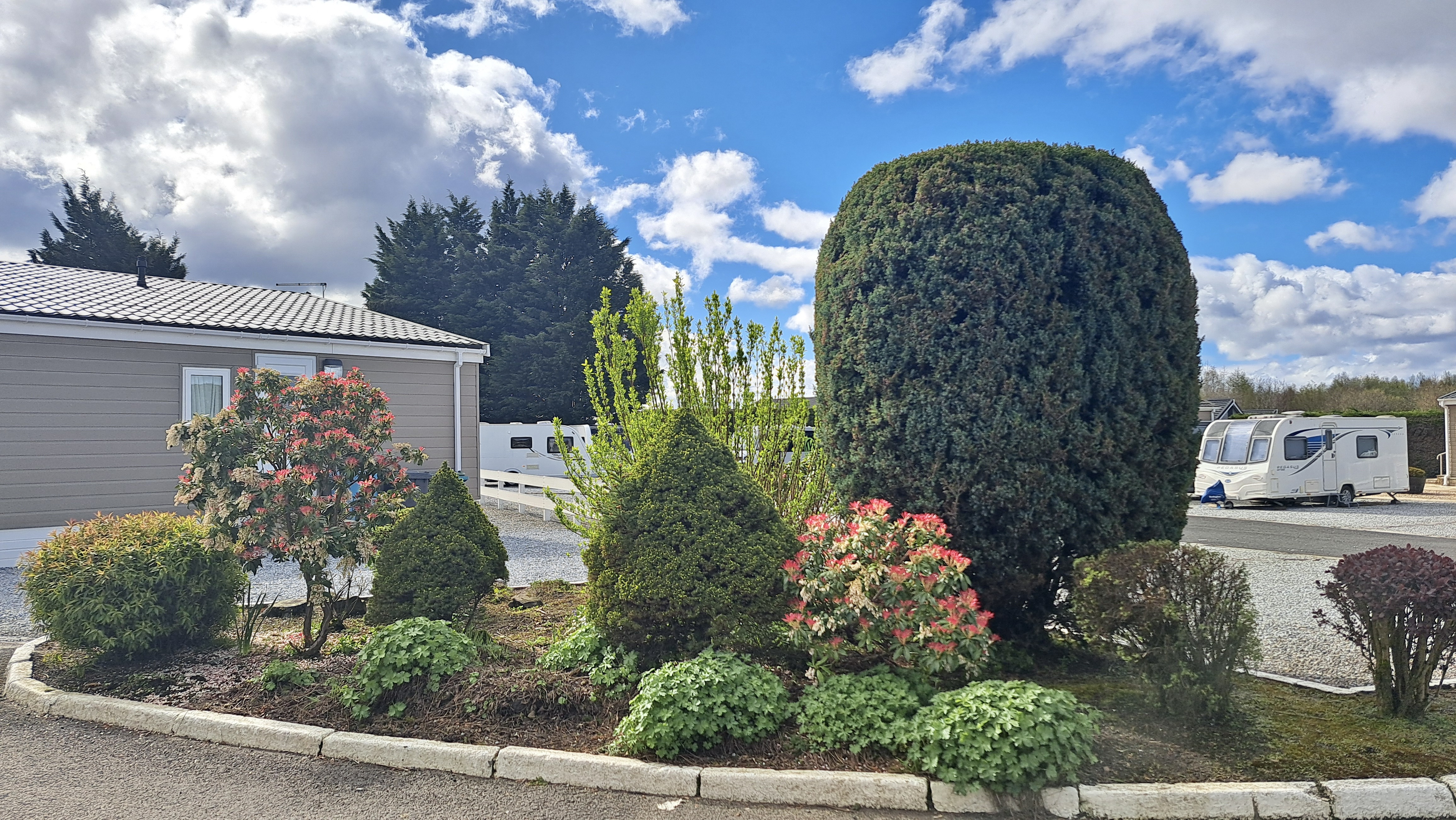 Wohnmobilstellplatz: planted area - Red Deer Village Ferienpark