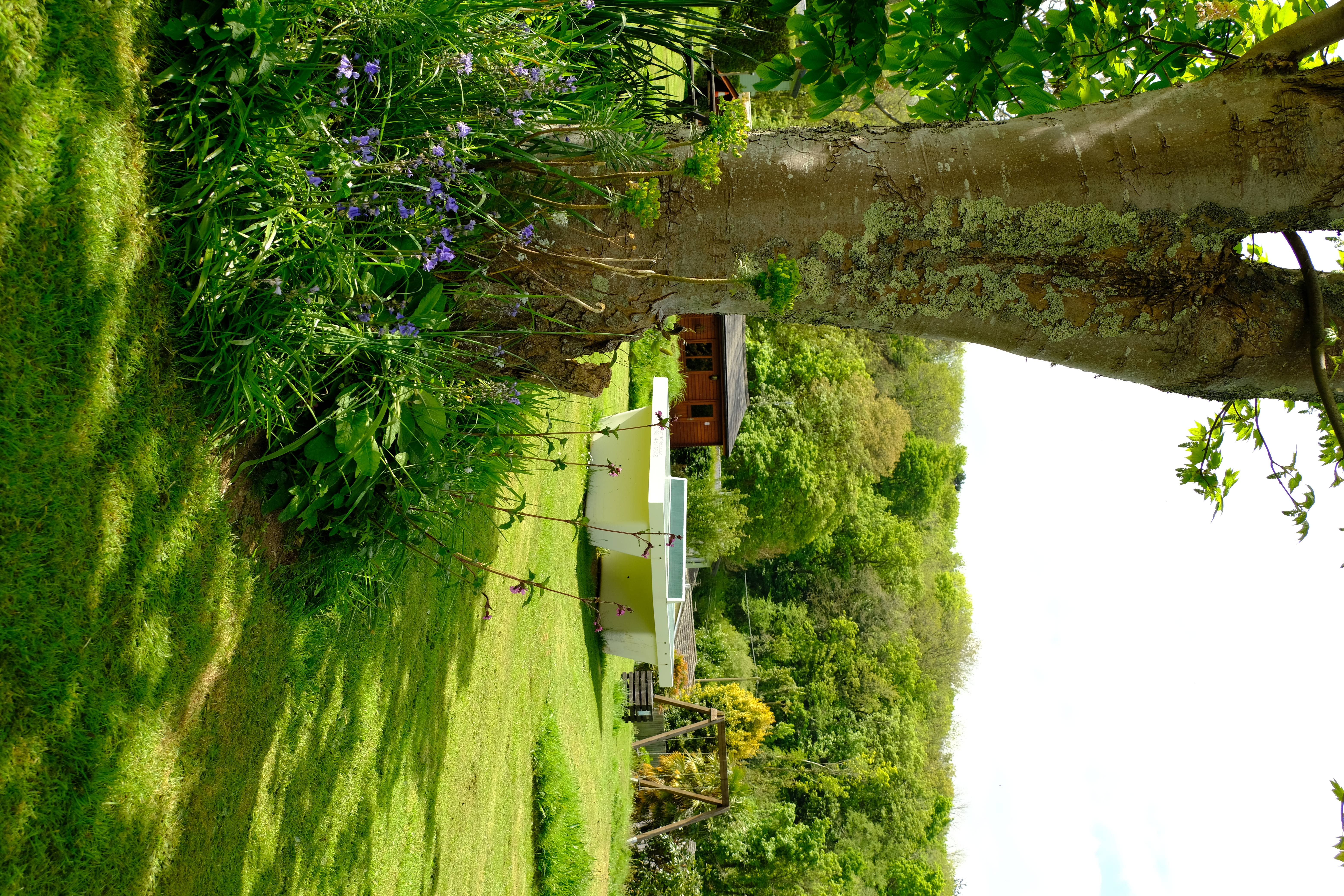 Wohnmobilstellplatz: Play area with swings, slide tabletennis and more - Tehidy Holiday Park