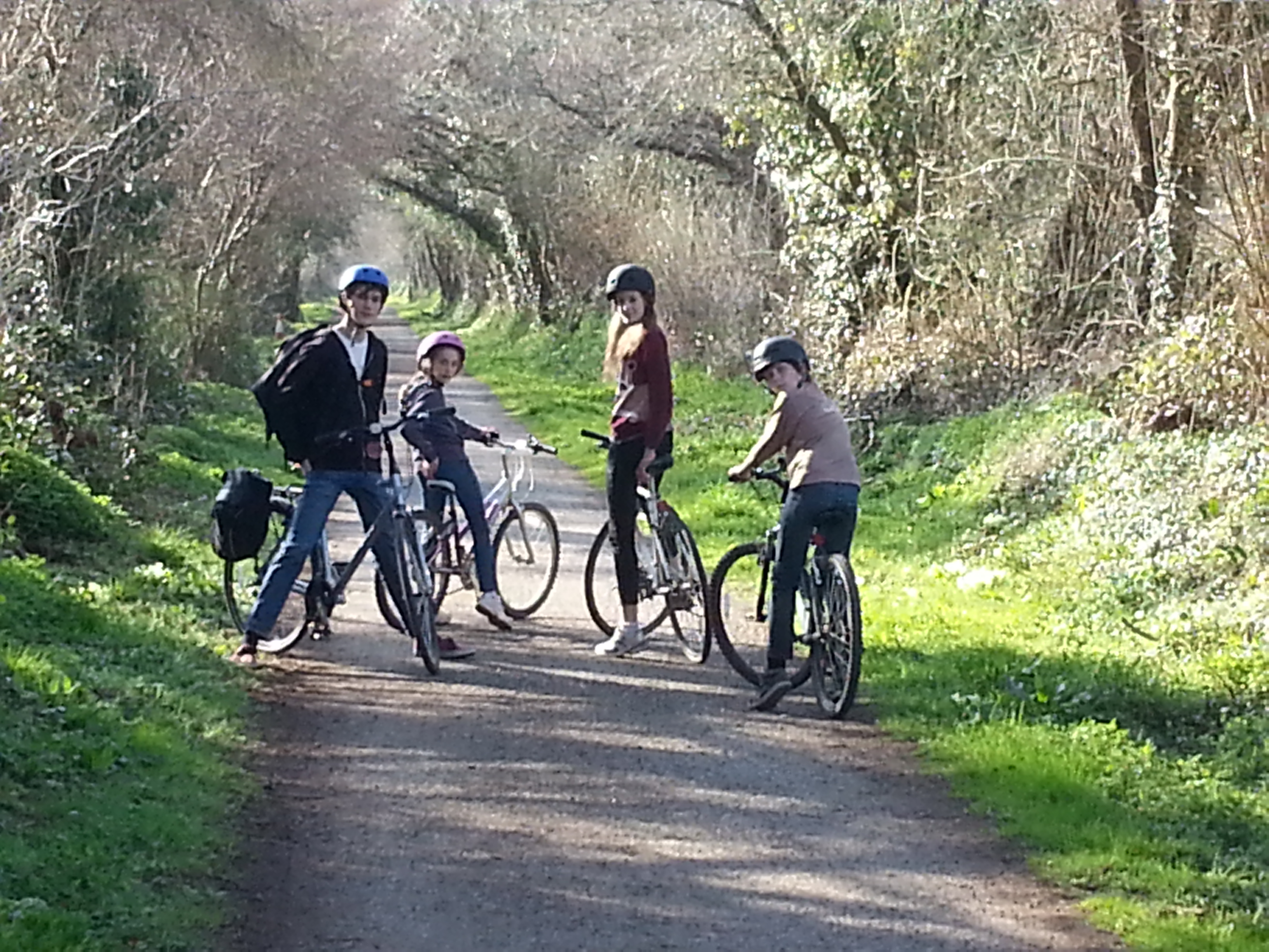 Wohnmobilstellplatz: Cycle routes - Tehidy Holiday Park - Areal