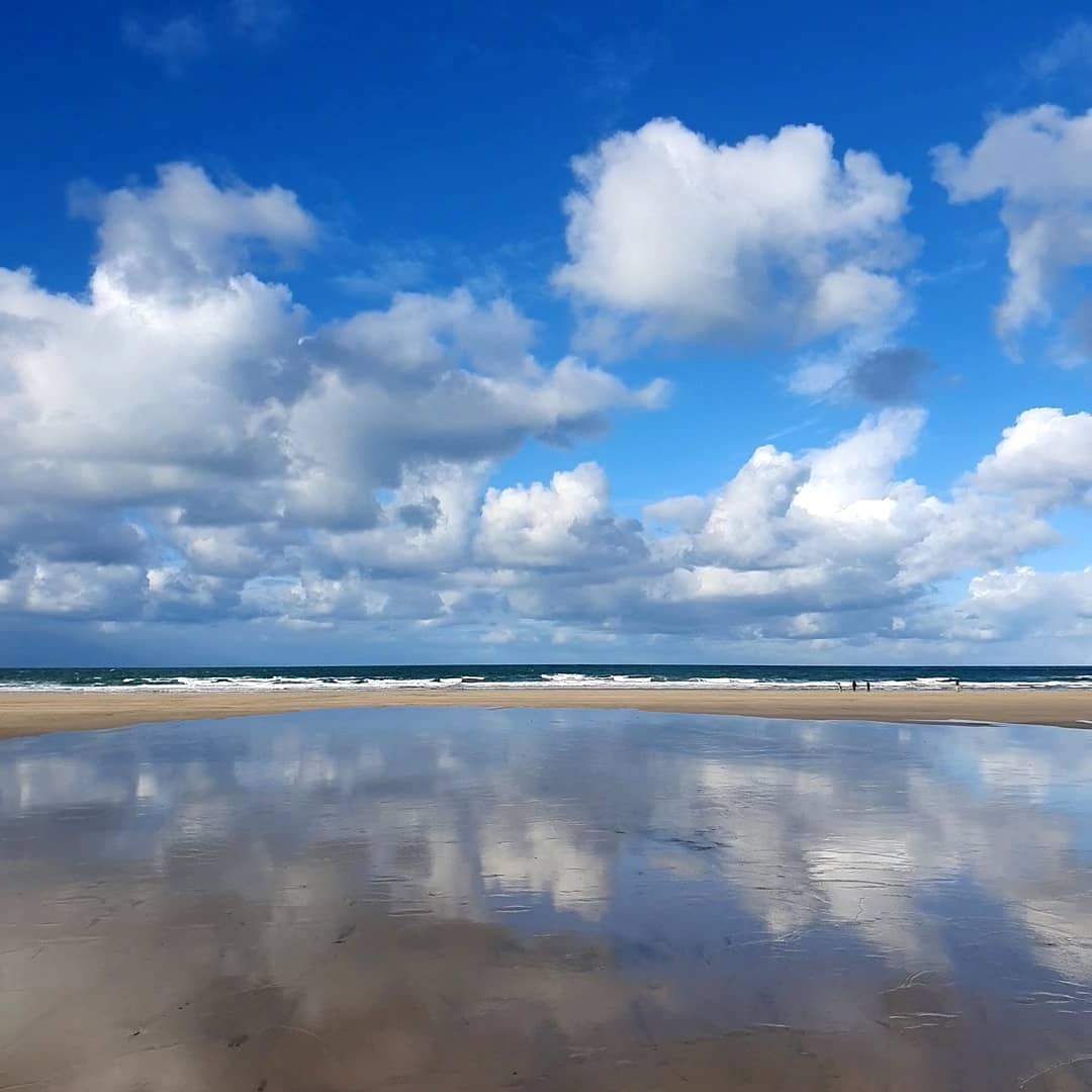 Wohnmobilstellplatz: A choice of beaches - Tehidy Holiday Park - Areal