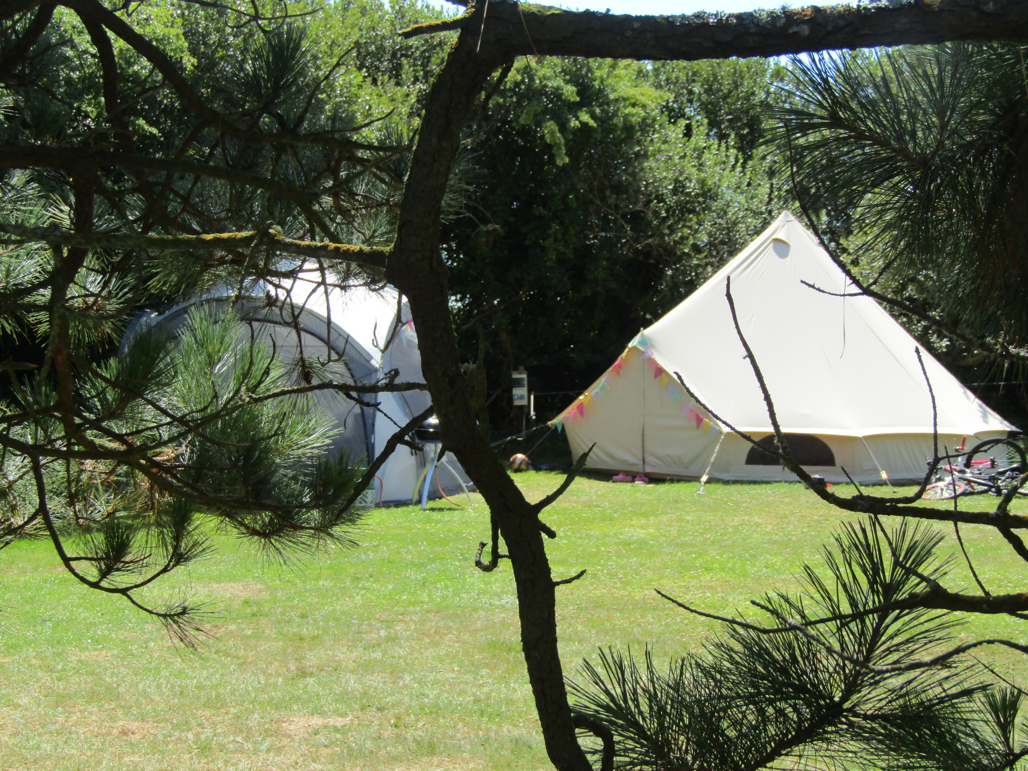 Wohnmobilstellplatz: Camping - Little Trevothan Camping und Caravan Park - Infrastructure